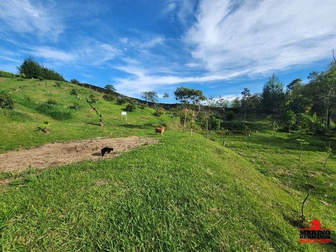Lote en venta en Guarne, 2500 m² · foto 12 de 16