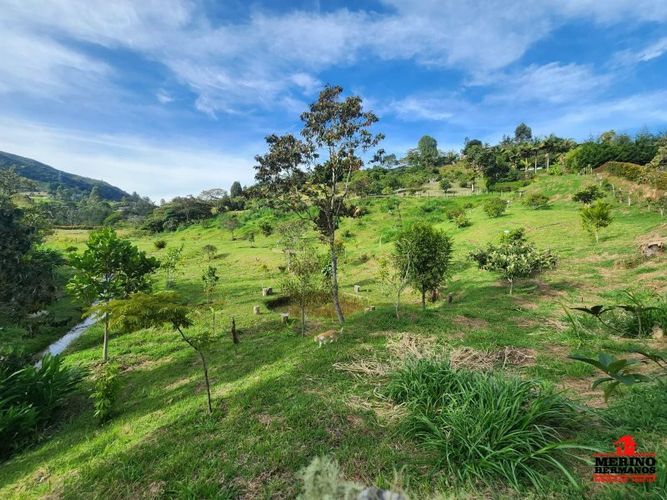 Lote en venta en Guarne, 2500 m² · foto 13 de 16