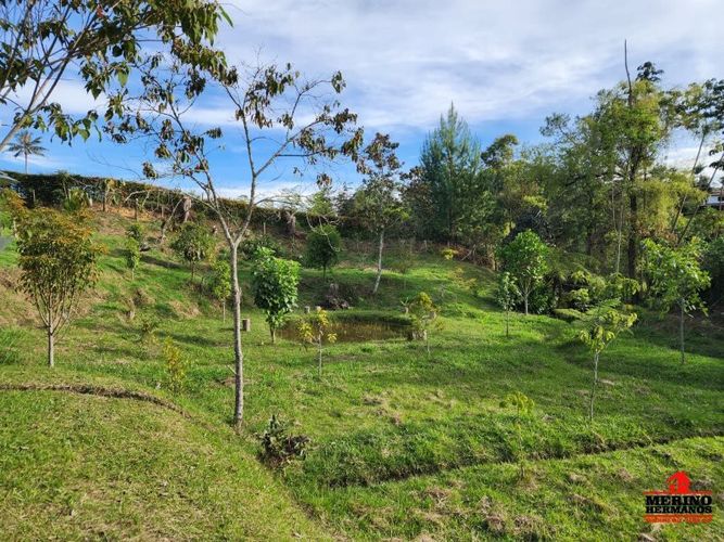 Lote en venta en Guarne, 2500 m² · foto 14 de 16