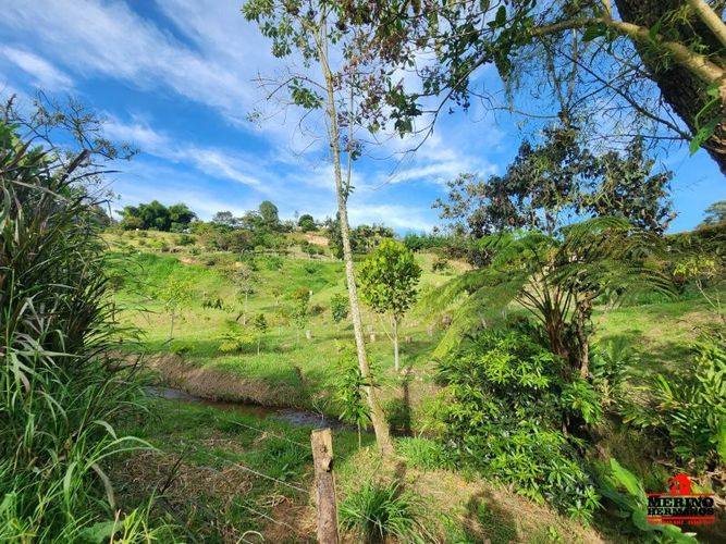 Lote en venta en Guarne, 2500 m² · foto 16 de 16