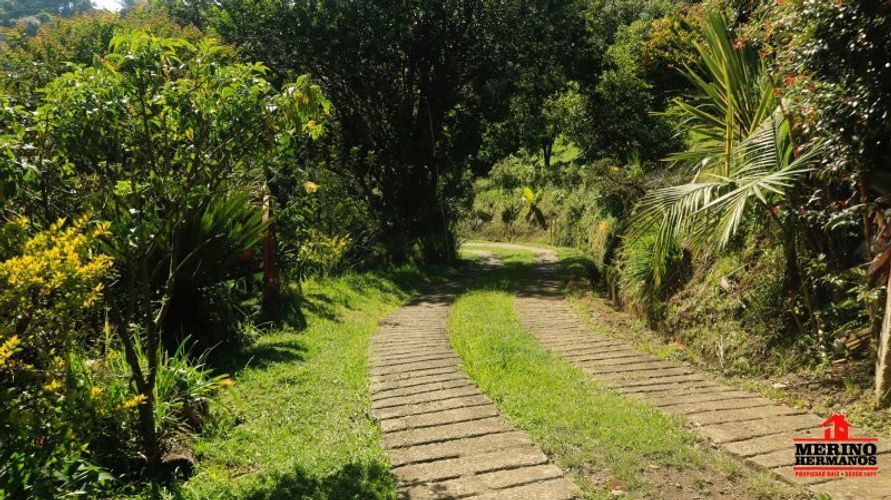 Finca en venta en Centro, Rionegro, 100 m² · foto 4 de 19