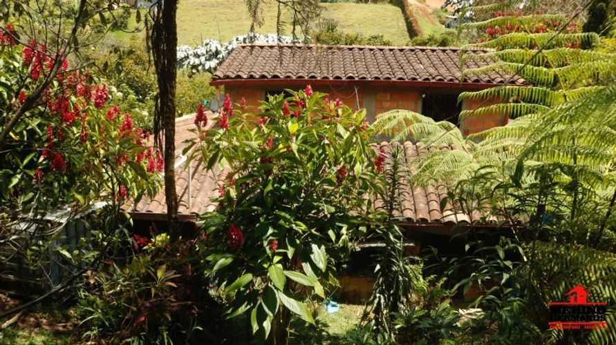 Finca en venta en Centro, Rionegro, 100 m² · foto 5 de 19