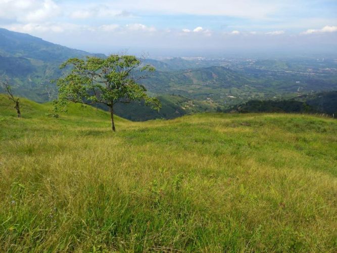 Country house for rent in Combia, Pereira