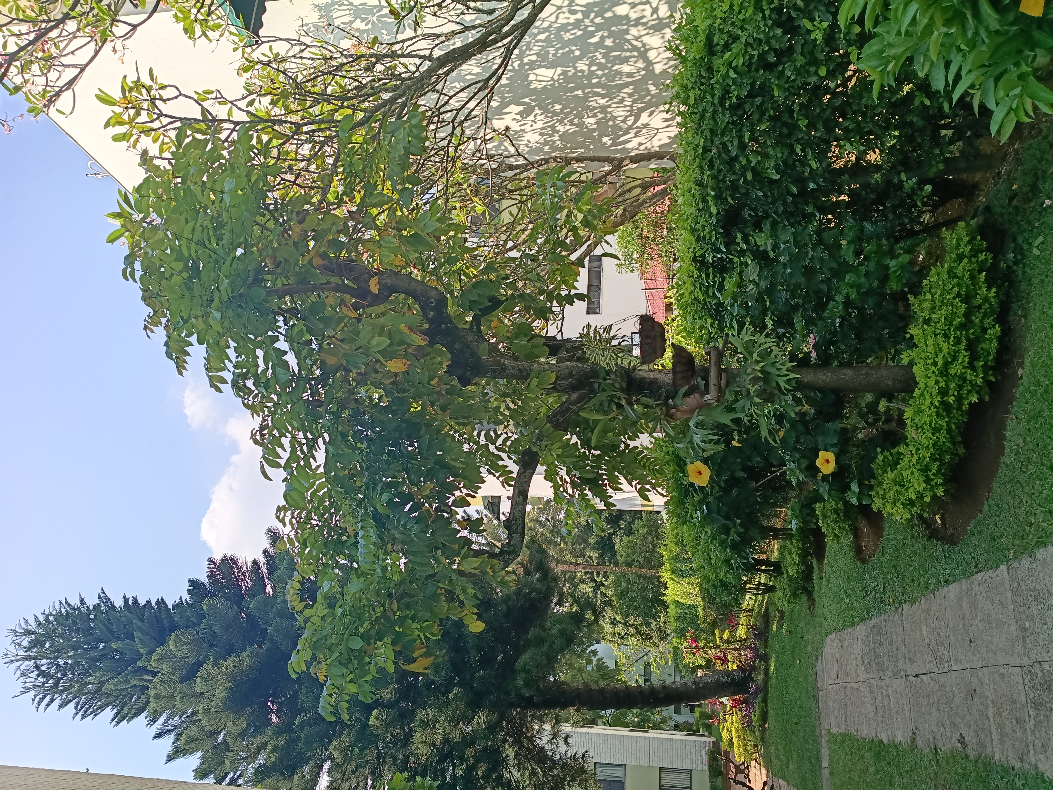 Habitación en arriendo en Unicentro Cali