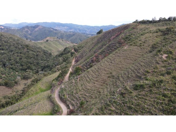 Lote en venta en Fatima, La Ceja, 5000 m² · foto 2 de 20