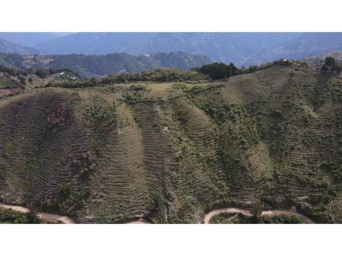 Lote en venta en Fatima, La Ceja, 5000 m² · foto 3 de 20