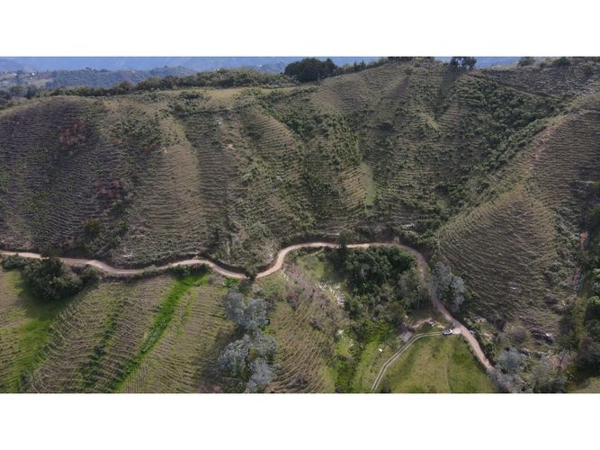Lote en venta en Fatima, La Ceja, 5000 m² · foto 5 de 20