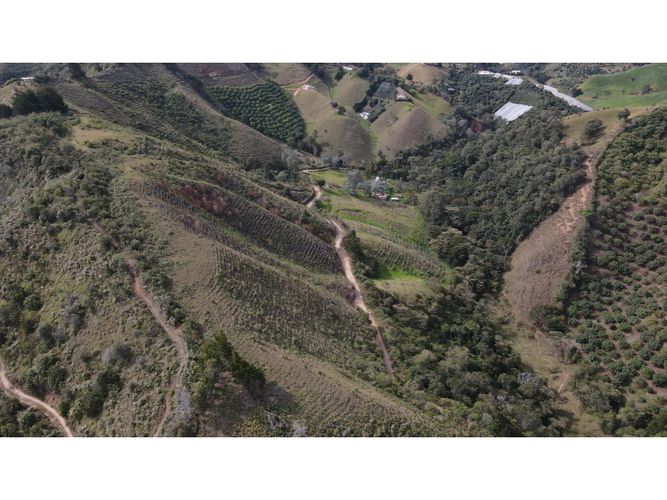 Lote en venta en Fatima, La Ceja, 5000 m² · foto 6 de 20