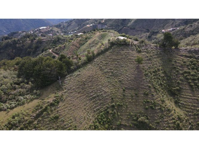 Lote en venta en Fatima, La Ceja, 5000 m² · foto 7 de 20