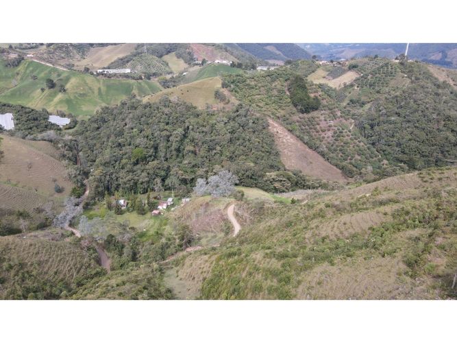 Lote en venta en Fatima, La Ceja, 5000 m² · foto 9 de 20