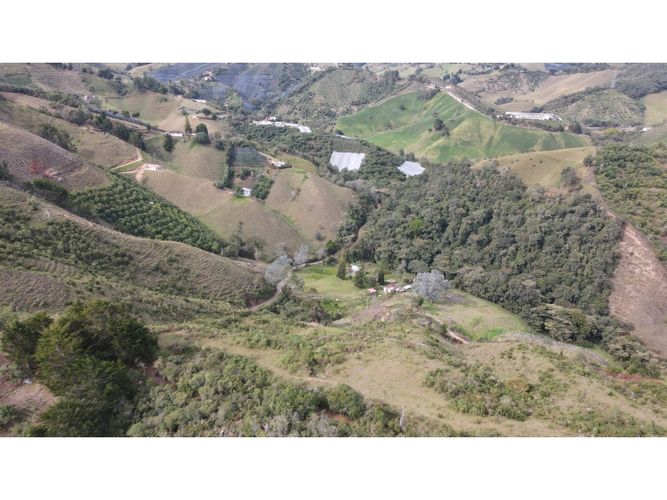 Lote en venta en Fatima, La Ceja, 5000 m² · foto 10 de 20
