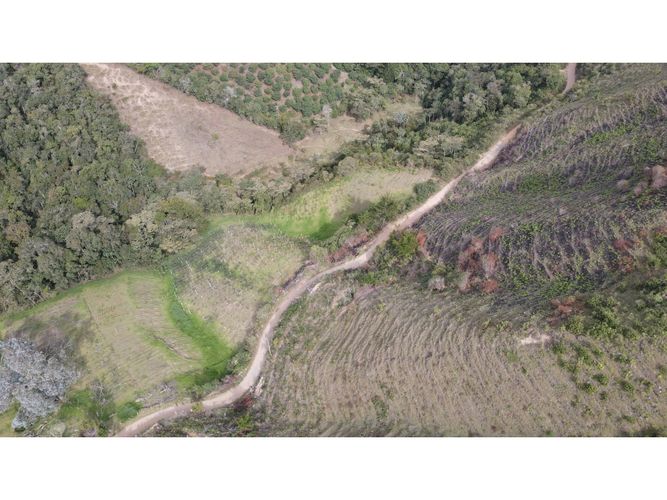 Lote en venta en Fatima, La Ceja, 5000 m² · foto 11 de 20