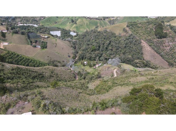 Lote en venta en Fatima, La Ceja, 5000 m² · foto 12 de 20