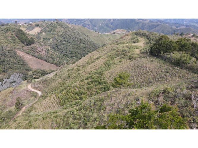Lote en venta en Fatima, La Ceja, 5000 m² · foto 14 de 20