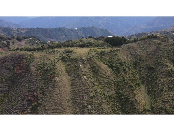 Lote en venta en Fatima, La Ceja, 5000 m² · foto 15 de 20