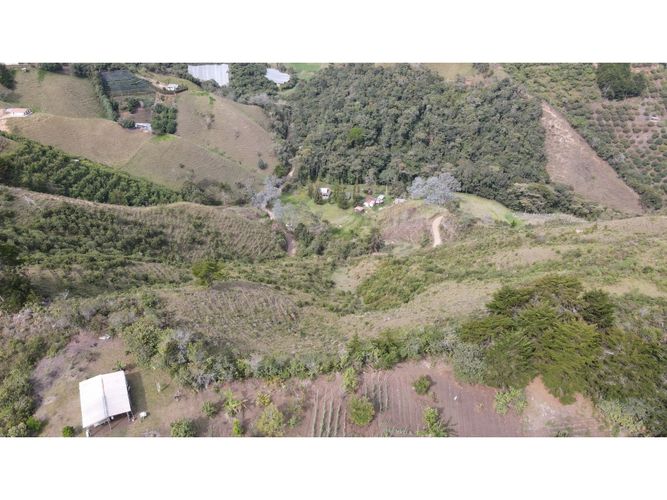 Lote en venta en Fatima, La Ceja, 5000 m² · foto 16 de 20