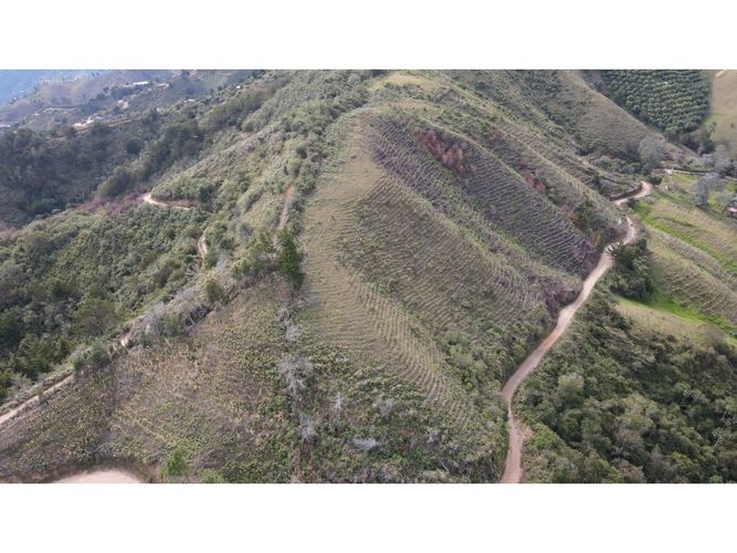 Lote en venta en Fatima, La Ceja, 5000 m² · foto 17 de 20