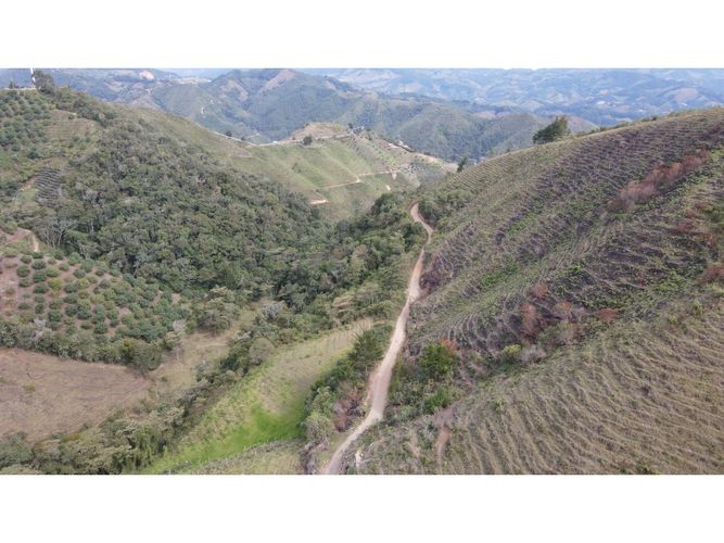Lote en venta en Fatima, La Ceja, 5000 m² · foto 18 de 20