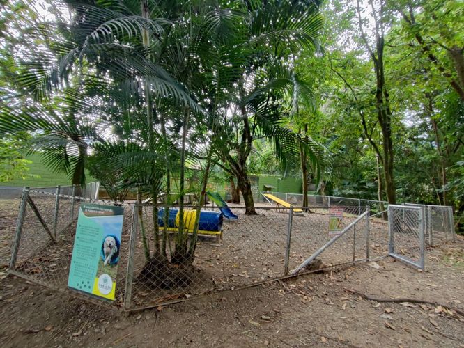 Casa de 3 alcobas en venta en Tierra Linda Del Vergel, Ibagué, 145 m² · foto 15 de 22