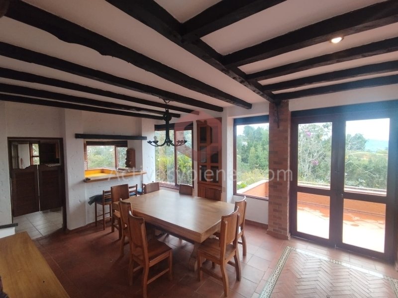 3BR House in Sajonia (11300 m²) - 3