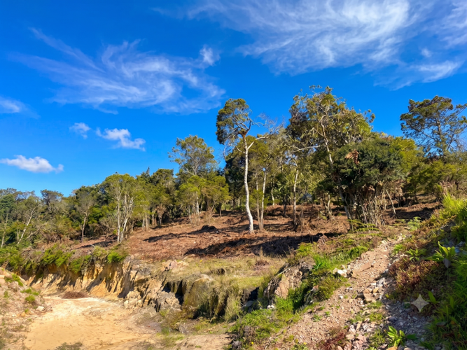 Lote en venta en Yerbabuena, Sopó · foto 5 de 10
