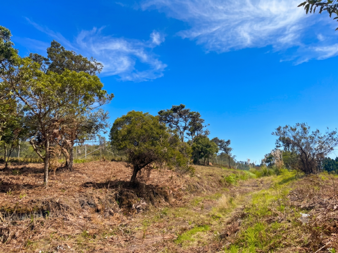 Lote en venta en Yerbabuena, Sopó · foto 9 de 10