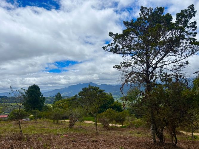 Lote en venta en Yerbabuena, Sopó · foto 10 de 10