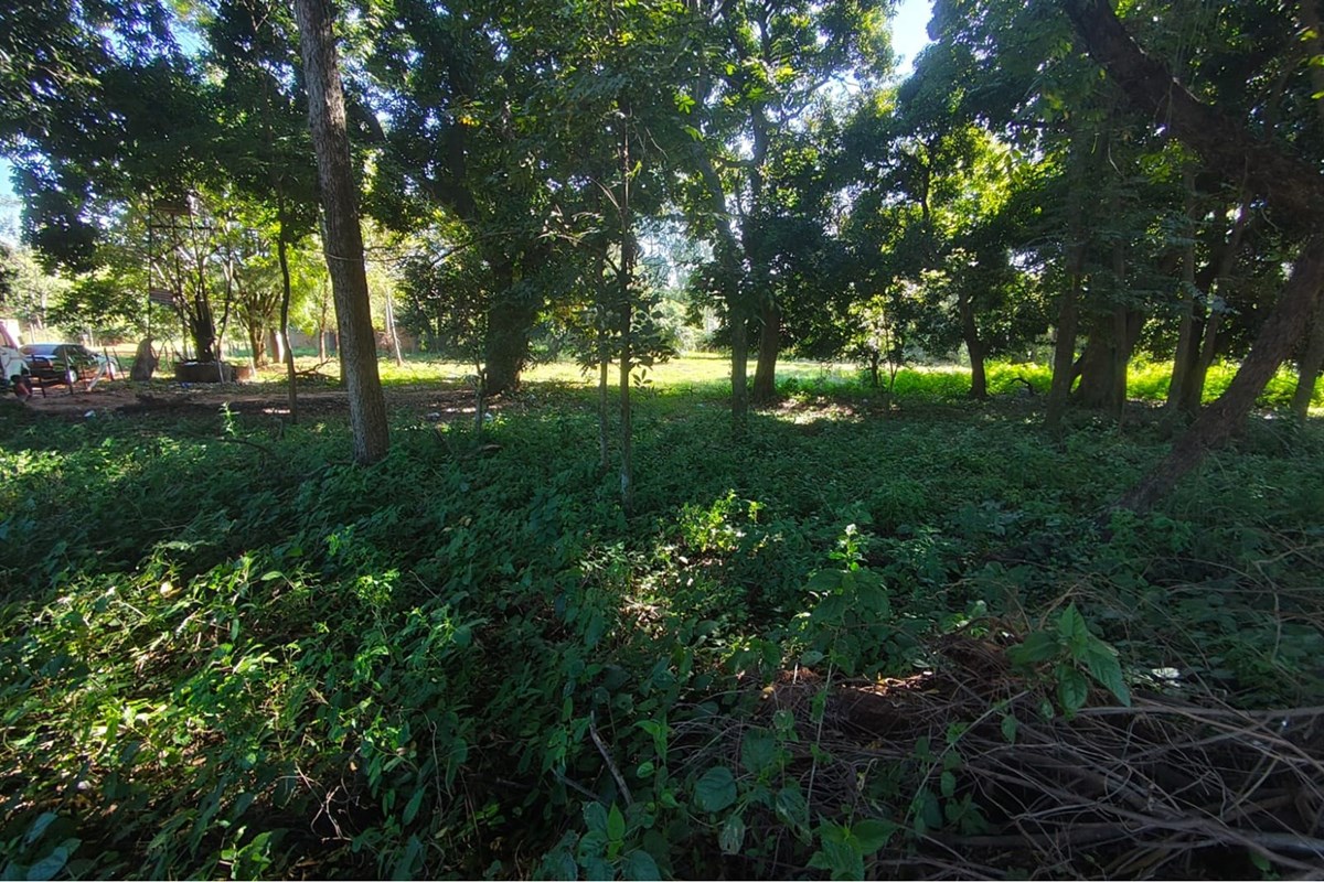 OPORTUNIDAD DE ALQUILER EN CAPIATÁ — foto 3