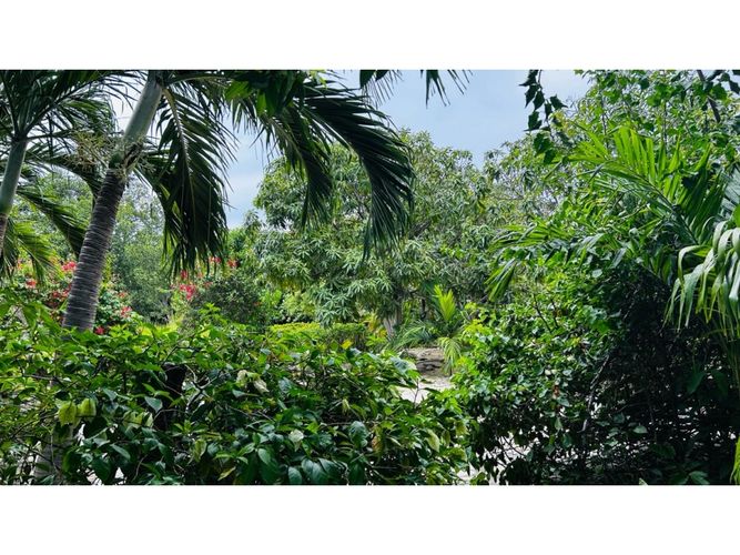 Casa de 4 alcobas en venta en Lago Del Dulzina, Santa Marta · foto 21 de 24
