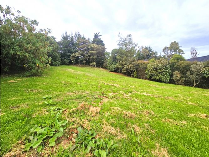 Lote en venta en Las Palmas, Envigado, 1737 m² · foto 5 de 15