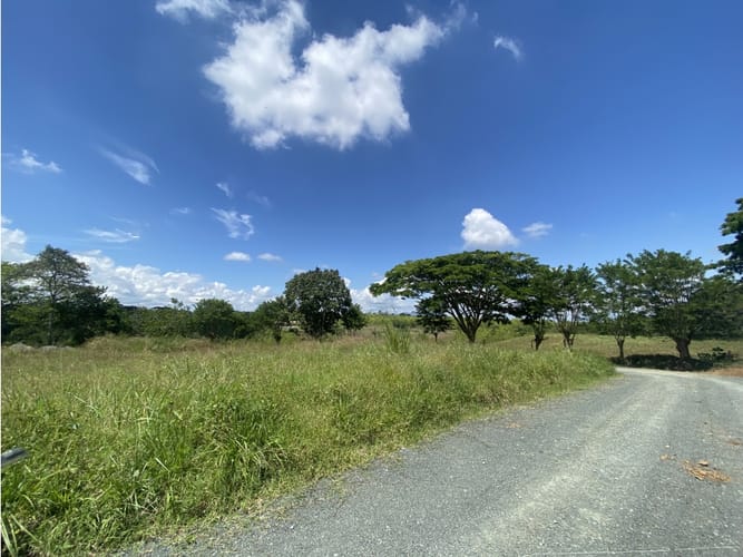 Lote en venta en Cerritos, Pereira, 1792 m² · foto 5 de 23