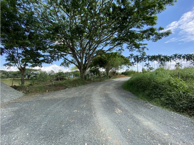 Lote en venta en Cerritos, Pereira, 1792 m² · foto 7 de 23