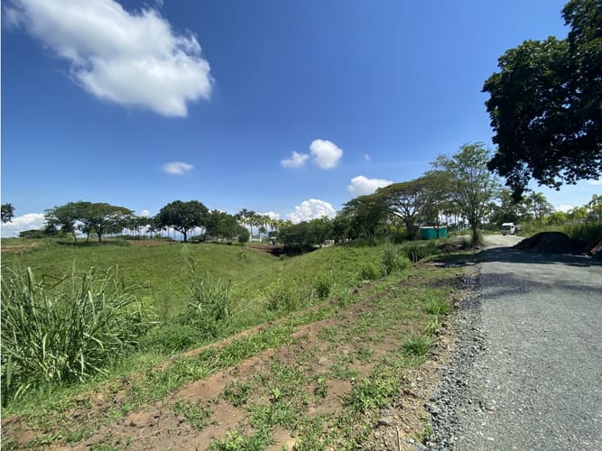 Lote en venta en Cerritos, Pereira, 1792 m² · foto 9 de 23