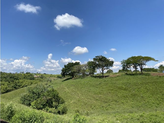 Lote en venta en Cerritos, Pereira, 1792 m² · foto 12 de 23