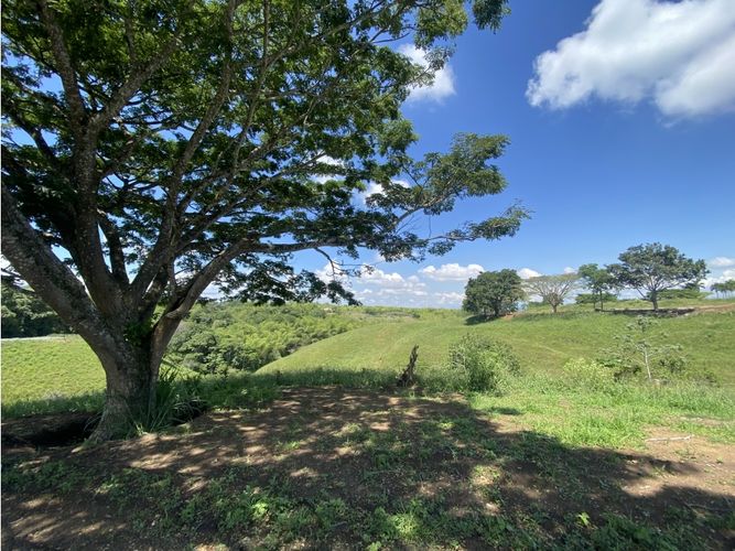 Lote en venta en Cerritos, Pereira, 1792 m² · foto 13 de 23