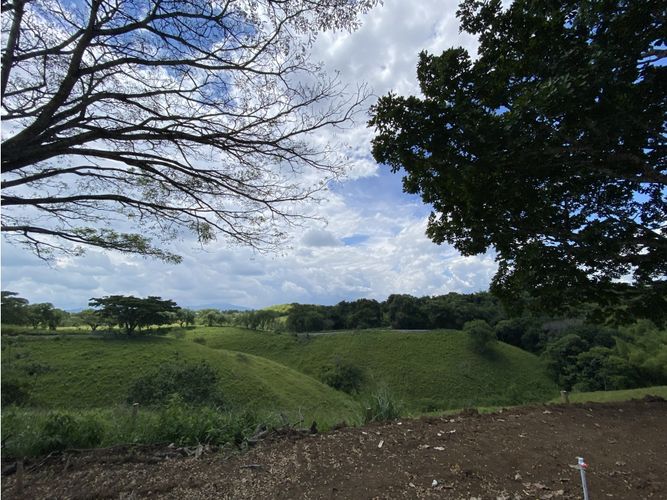 Lote en venta en Cerritos, Pereira, 1792 m² · foto 15 de 23
