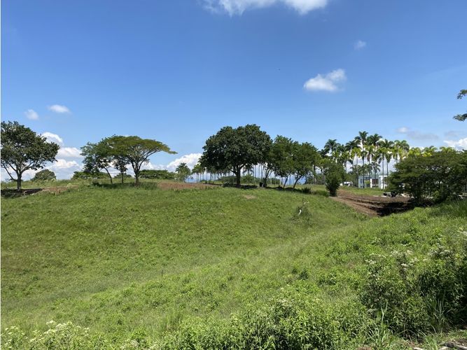 Lote en venta en Cerritos, Pereira, 1792 m² · foto 16 de 23