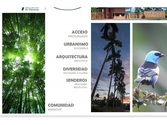 Lote en venta en Cerritos, Pereira, 1792 m² · foto 19 de 23