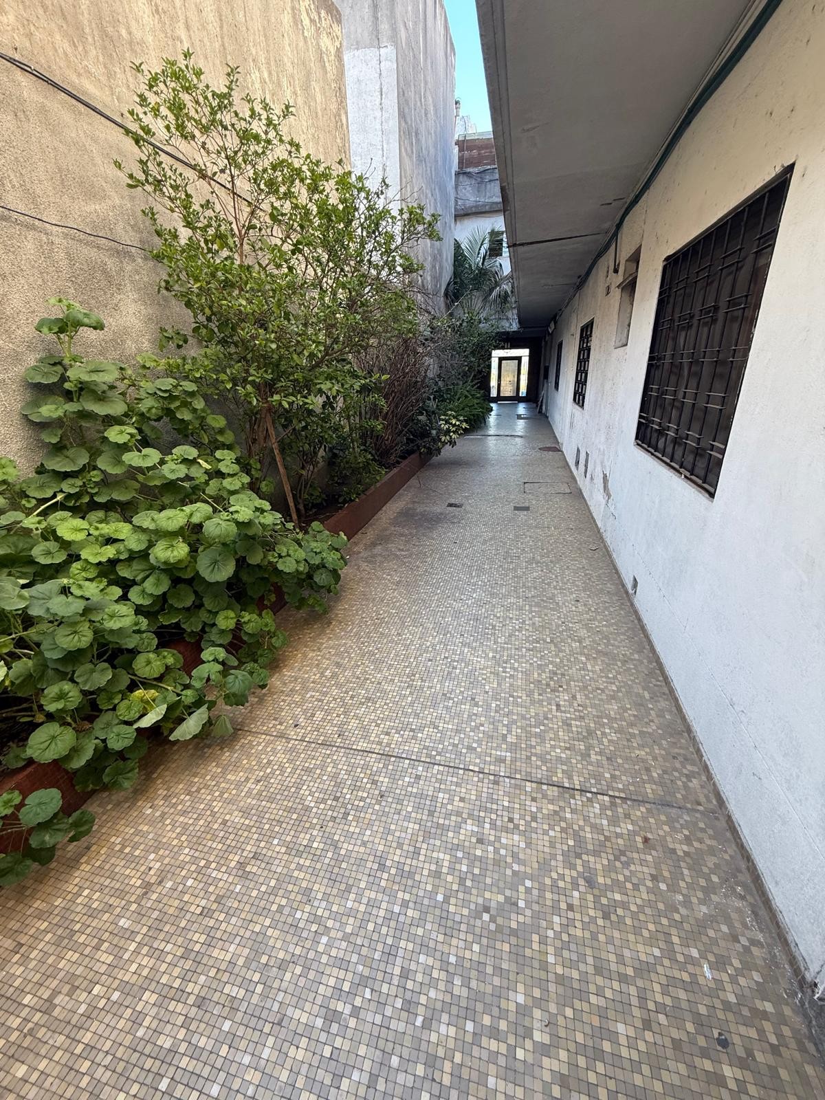 Alquiler Planta Baja 3 Dormitorios Patio Parrillero · Foto 11