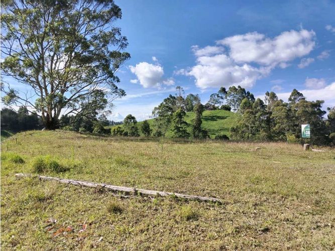 Lote en venta en Pantanillo, El Retiro, 2416 m² · foto 2 de 7