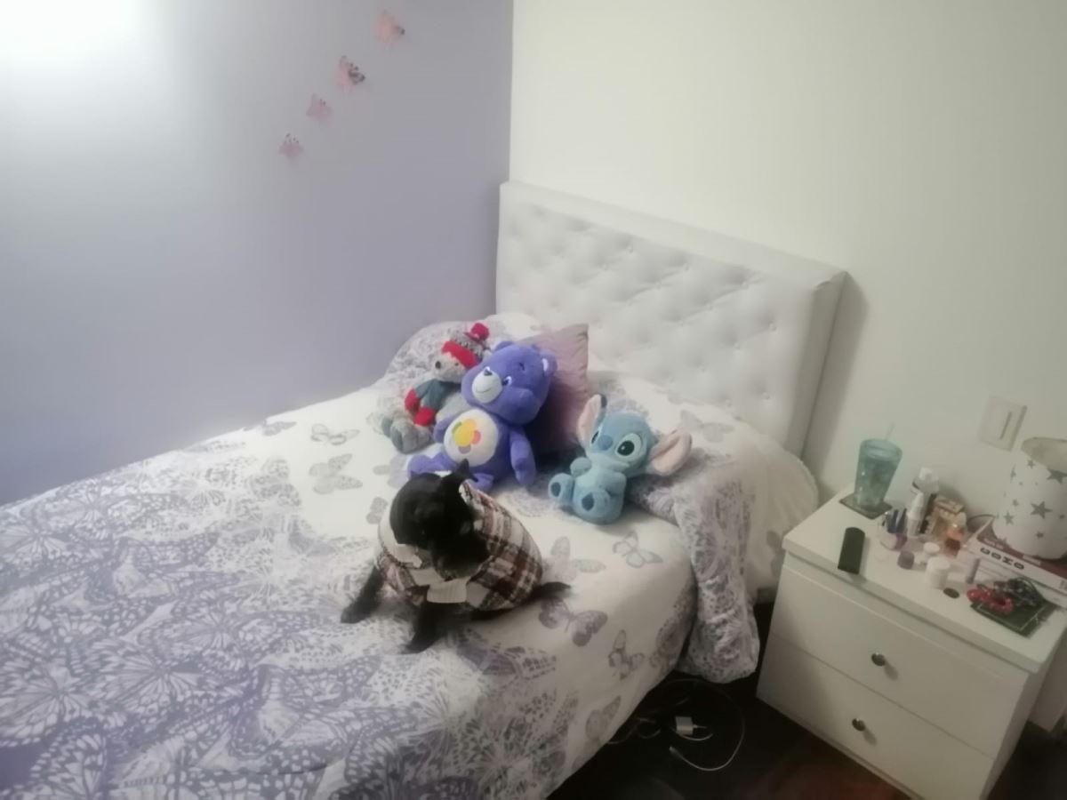 Apartamento en venta en Alta Blanca, Bogotá · foto 8 de 20