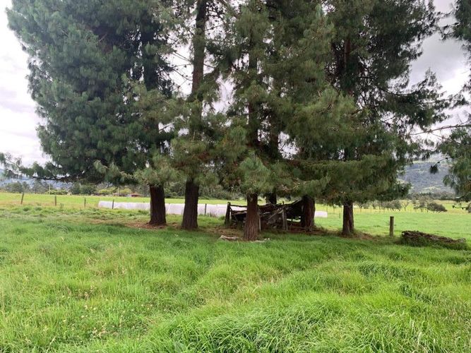 Finca en venta en Marquez, La Calera, 465 m² · foto 20 de 22