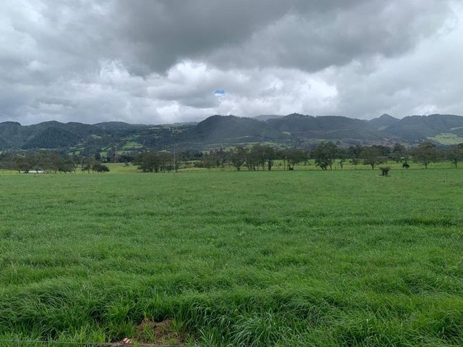 Finca en venta en Marquez, La Calera, 465 m² · foto 23 de 24
