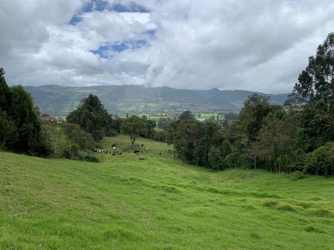 Lote en venta en Marquez, La Calera, 240 m² · foto 3 de 9