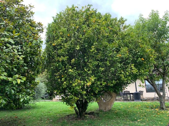 Finca en venta en Marquez, La Calera, 230 m² · foto 11 de 24