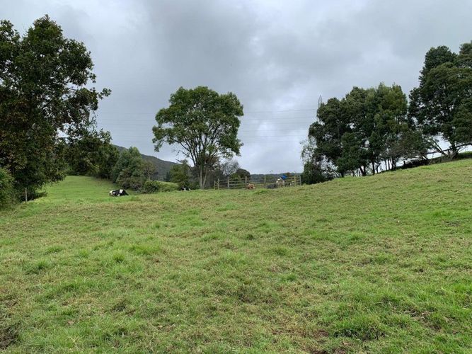 Finca en venta en Marquez, La Calera, 230 m² · foto 17 de 24
