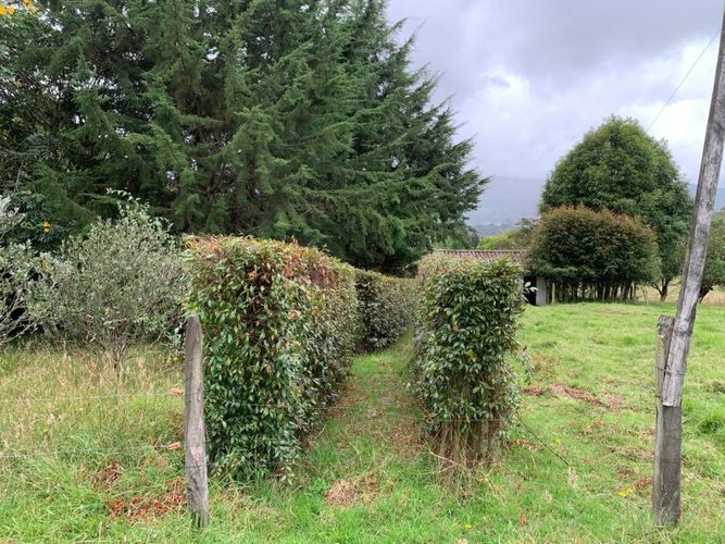 Finca en venta en Marquez, La Calera, 230 m² · foto 18 de 24