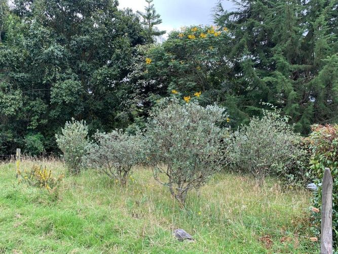 Finca en venta en Marquez, La Calera, 230 m² · foto 22 de 24