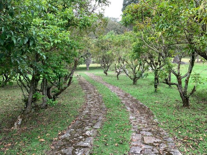 Finca en venta en Marquez, La Calera, 230 m² · foto 23 de 24