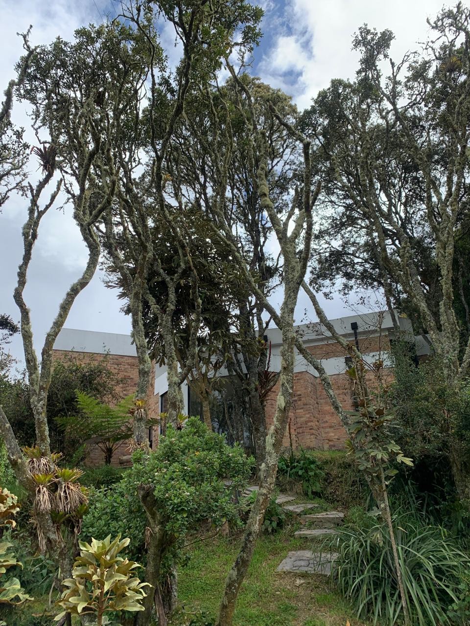 Casa en venta en El Hato, La Calera · foto 11 de 20